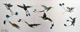 Racket Tailed Humming Birds ink on aluminium