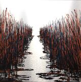 Reed Beds SOLD