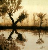 Reflection at Dedham watercolour on tissue
