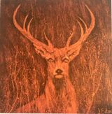 Stag Night £2.50