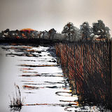 The Broads 100 x 100 cms