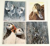 Wildlife pack of 4 for the price of 3 £7.50