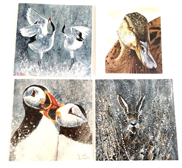 Feathers & Fur 4 for the price of 3 £7.50