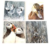 Feathers & Fur 4 for the price of 3 £7.50