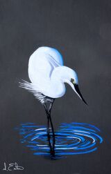 Elegant Egret SOLD