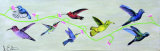 Hummingbirds