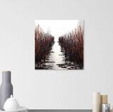 Reed Beds in situ SOLD