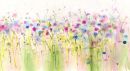 Forget me not