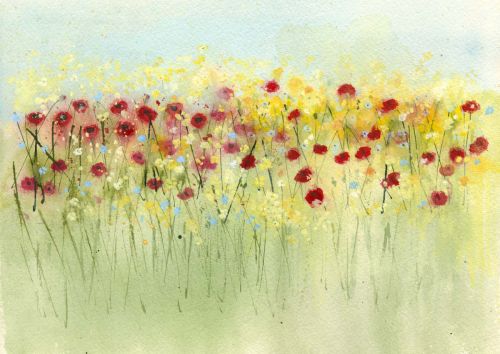 Sunshine and poppies