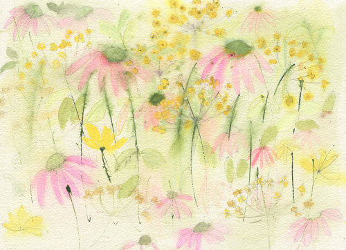 Daisy days