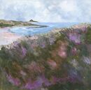 Autumn wild flowers, coastal walk