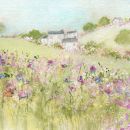 Foxglove cottages