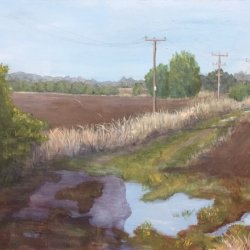 Autumn morning (Bawdsey Sufffolk)