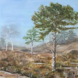 Early morning on the ranges