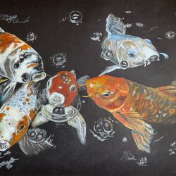 The Koi Pond