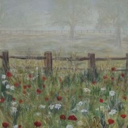 Misty meadows
