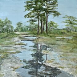 Reflections the Ranges