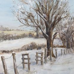Snowfields