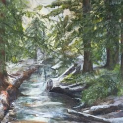 Sunshine and snow (Whistler Canada)