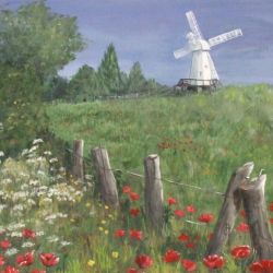 Windmill amongst the poppies