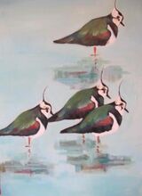 Lapwings 2