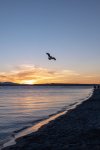 Golden Gardens Park, Seattle