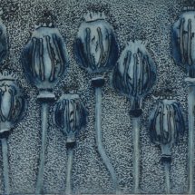 Poppy Seedheads II