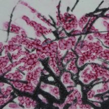 Under Cherry Flowers