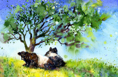 Belties by a tree art print