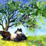 Belties by a tree art print