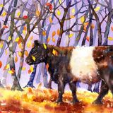 Watercolour painting of a Belted Galloway cow standing beside trees with Autumn leaves falling