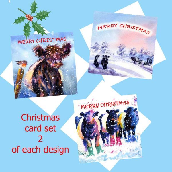 beltie-christmas-card-set
