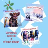 Beltie Christmas card set beltie-christmas-card-set