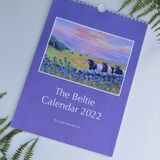 Beltie calendar 2022 Beltie Calendar 2022