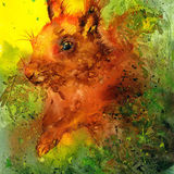 Red squirrel watercolour painting