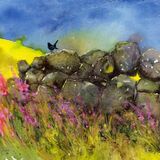 watercolour painting of a Blackbird on a dyke, with a yellow field on the background, by Scottish artist susan metcalfe