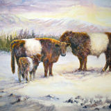 Beltie Family <font color ="red">SOLD</font>