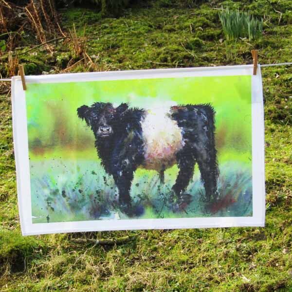 Belted Galloway tea towel with painting of dad by susan metcalfe art
