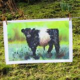 Beltie tea towel dad Belted Galloway tea towel with painting of dad by susan metcalfe art