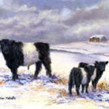 Big Brother's watching <font color ="red">SOLD</font>