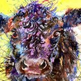 Painting of a hairy Belted galloway, Beltie