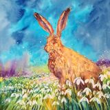 Hare sitting in Snowdrops, watercolour painting by Susan Metcalfe