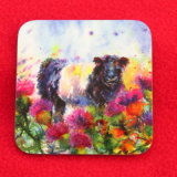 Coaster