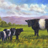 which ones mine <font color ="red">SOLD</font