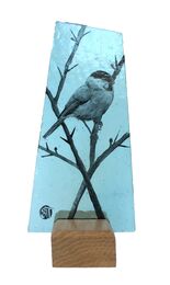 Bullfinch on hawthorn