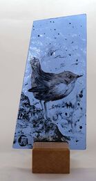 Dipper SOLD