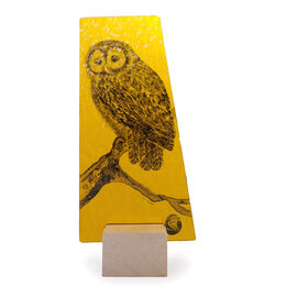Owl on amber. 100mm x 220mm £50