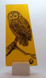 Owl on amber. 100mm x 220mm £50