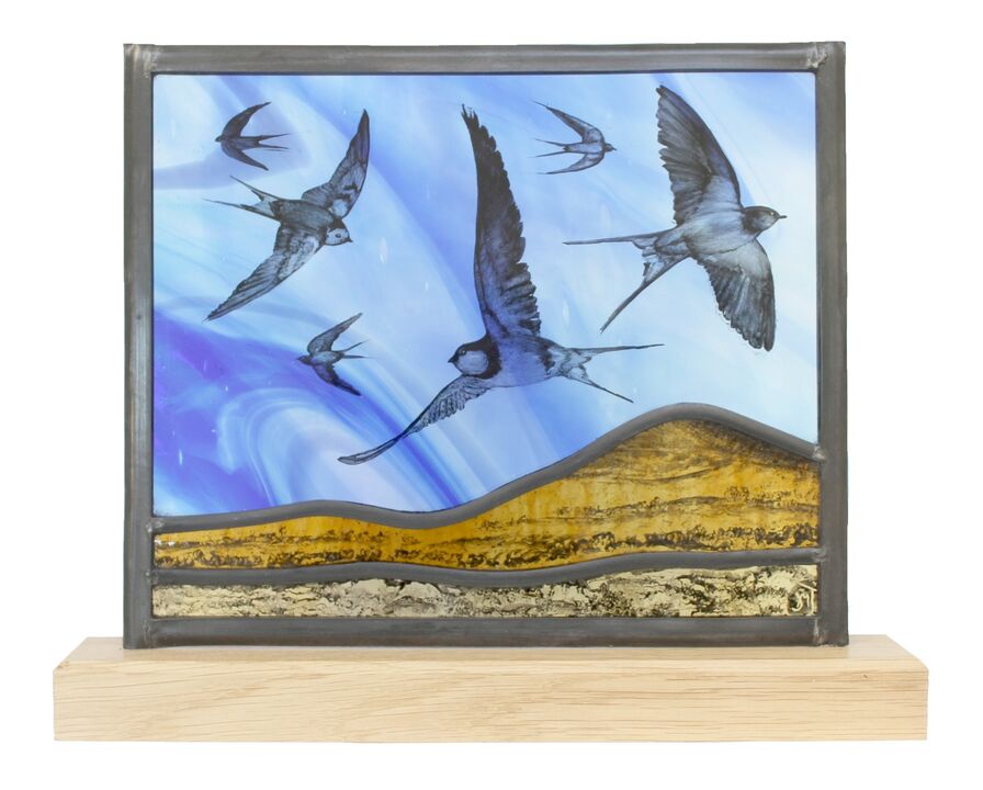 Swallows and Hay Bluff