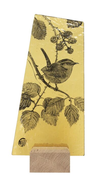 Wren and blackberry